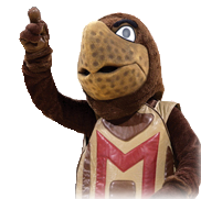 testudo image